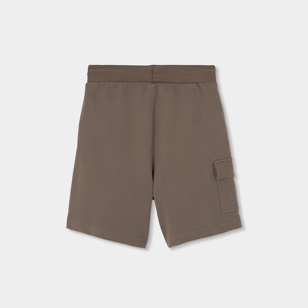 Cocoa Brown Shorts 2