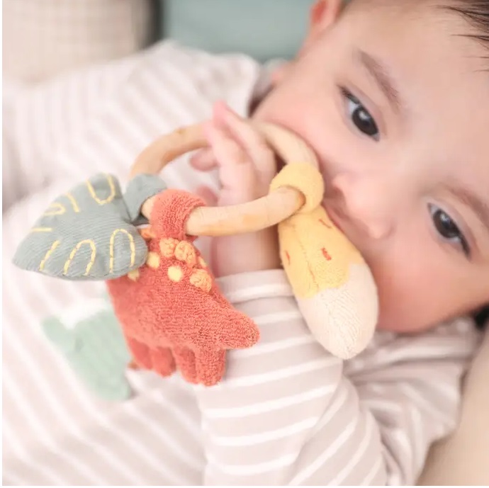 Dino Activity Ring Rattle 2