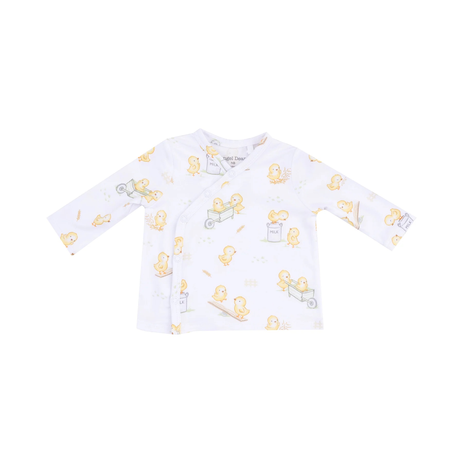 Baby Chicks Take Me Home Outfit 2