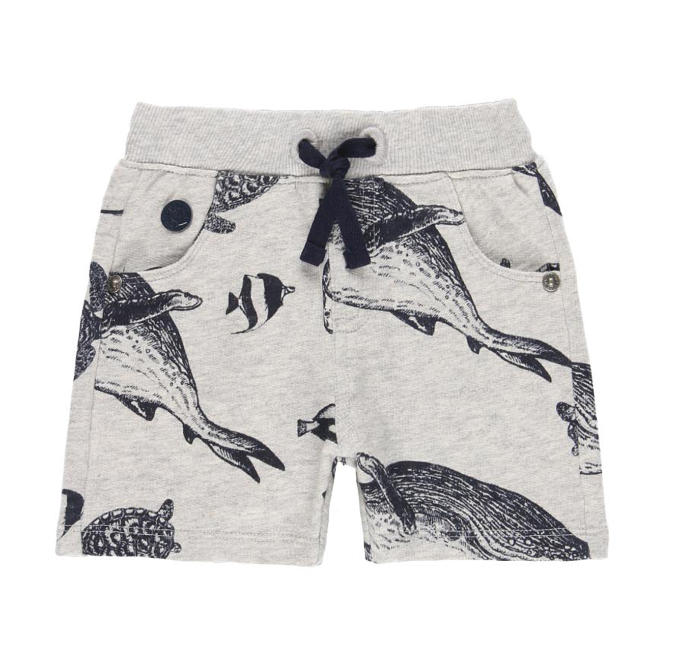 Sealife shorts 1