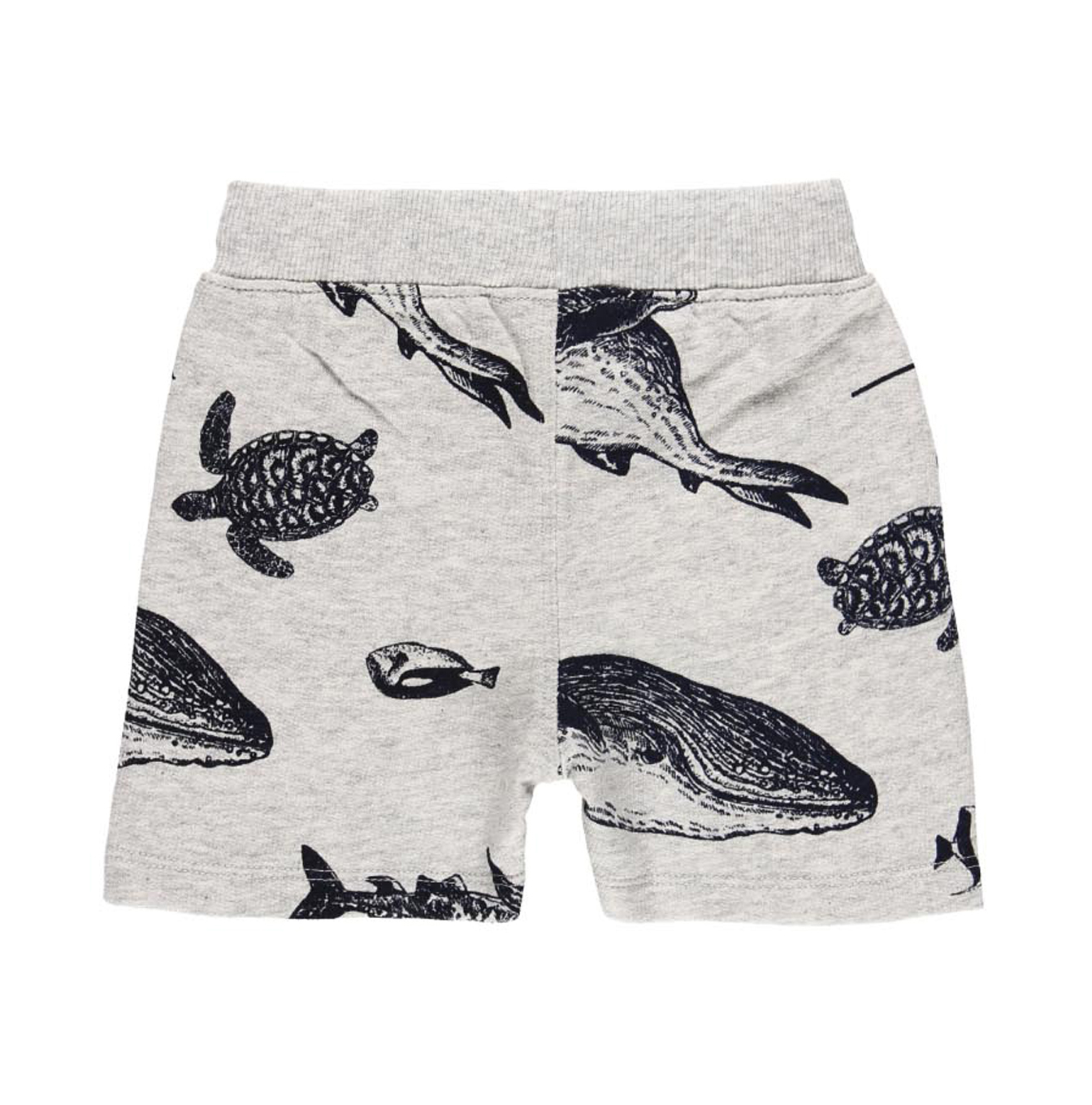 Sealife shorts 2