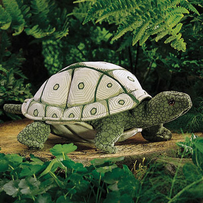 Tortoise puppet by Folkmanis 1