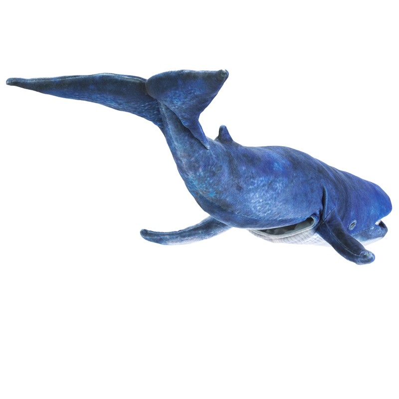 Blue Whale Puppet 2
