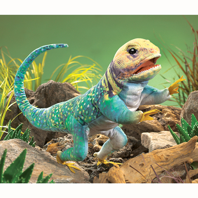 Collared Lizard puppet 1