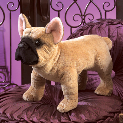 French Bulldog puppet 1