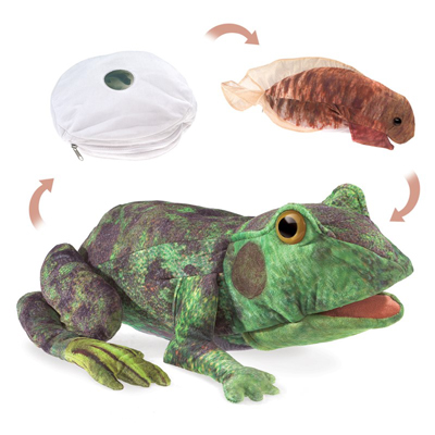 Frog life cycle puppet 1