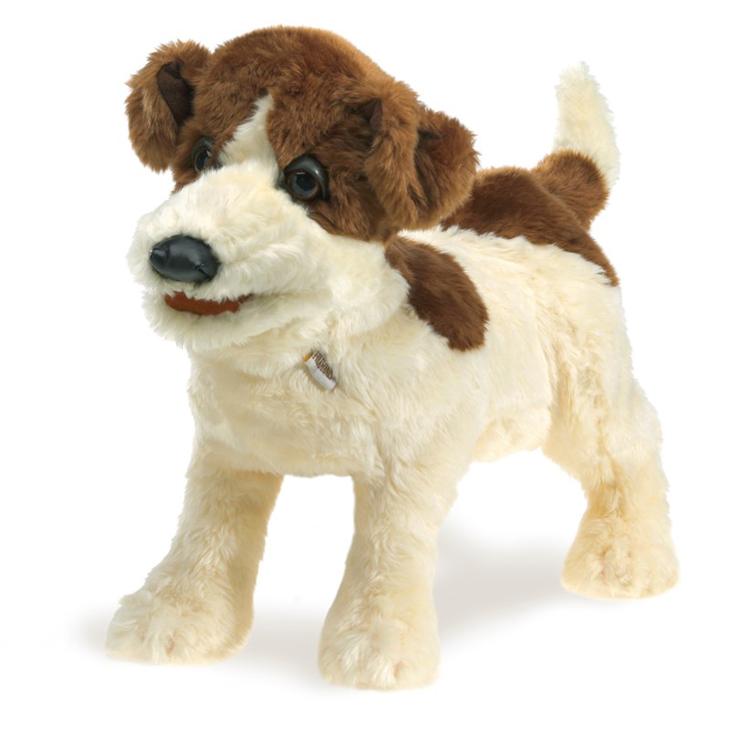 Jack Russell Terrier Puppet(smooth coat) 1