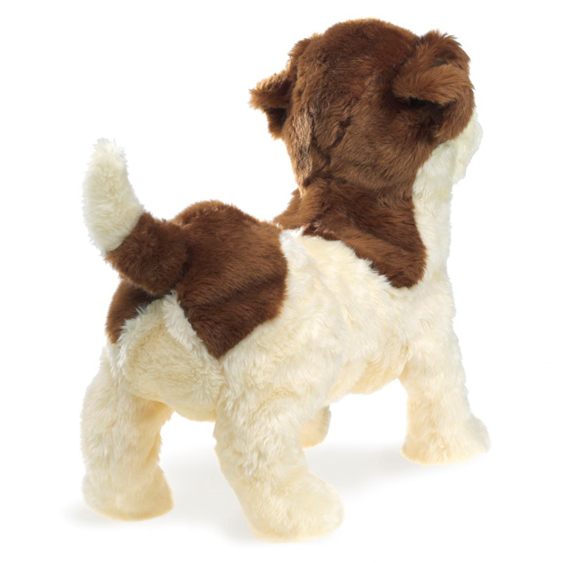 Jack Russell Terrier Puppet(smooth coat) 2