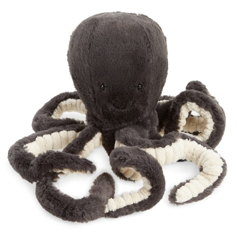 Baby Inky Octopus 1