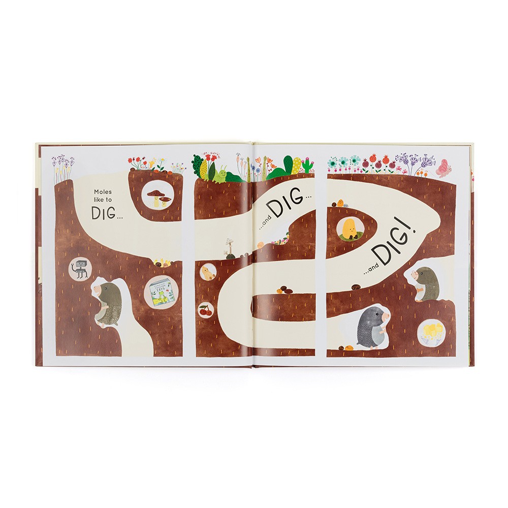 Muswell Mole and the Buried  Treasure Book 2