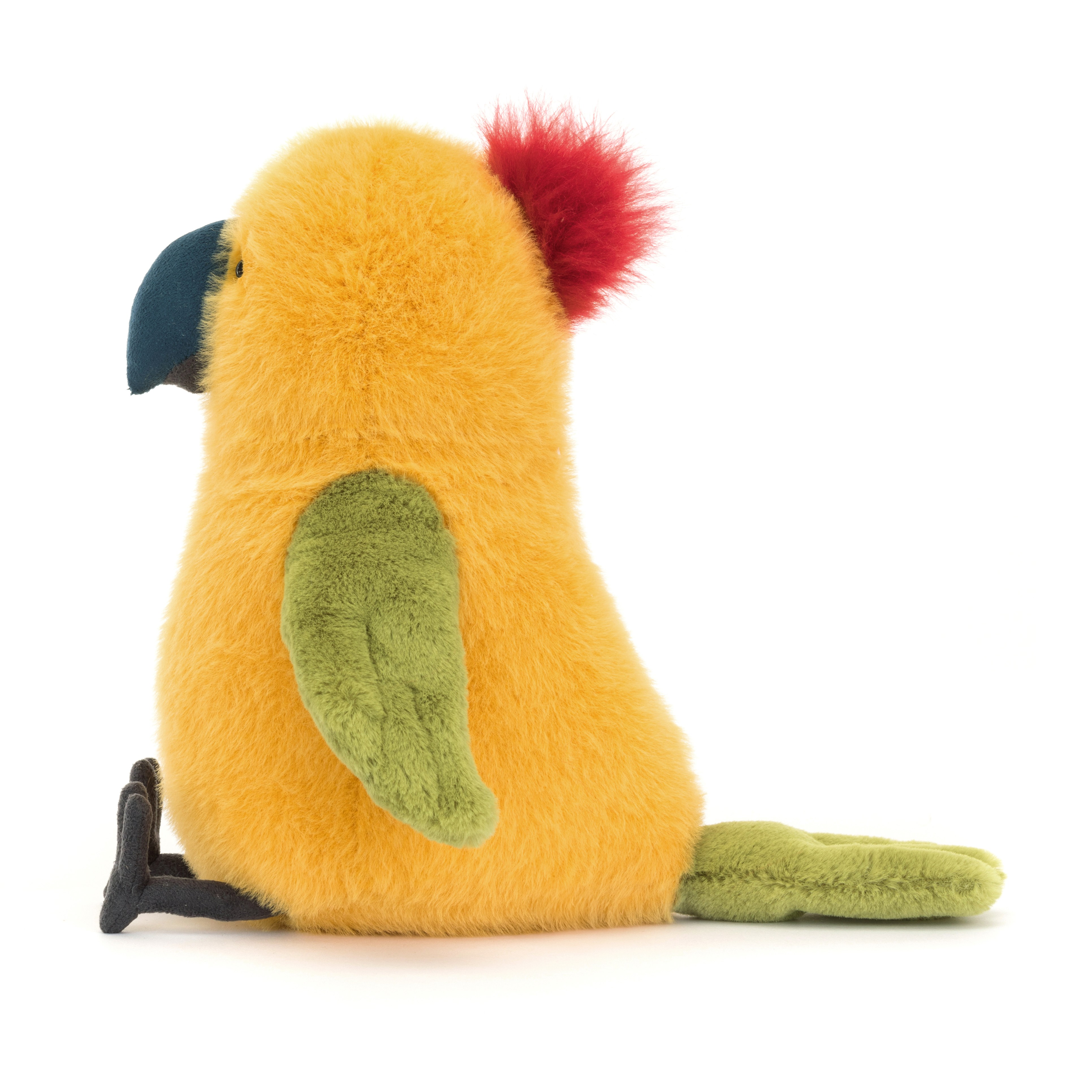 Budgeby Parrot 3