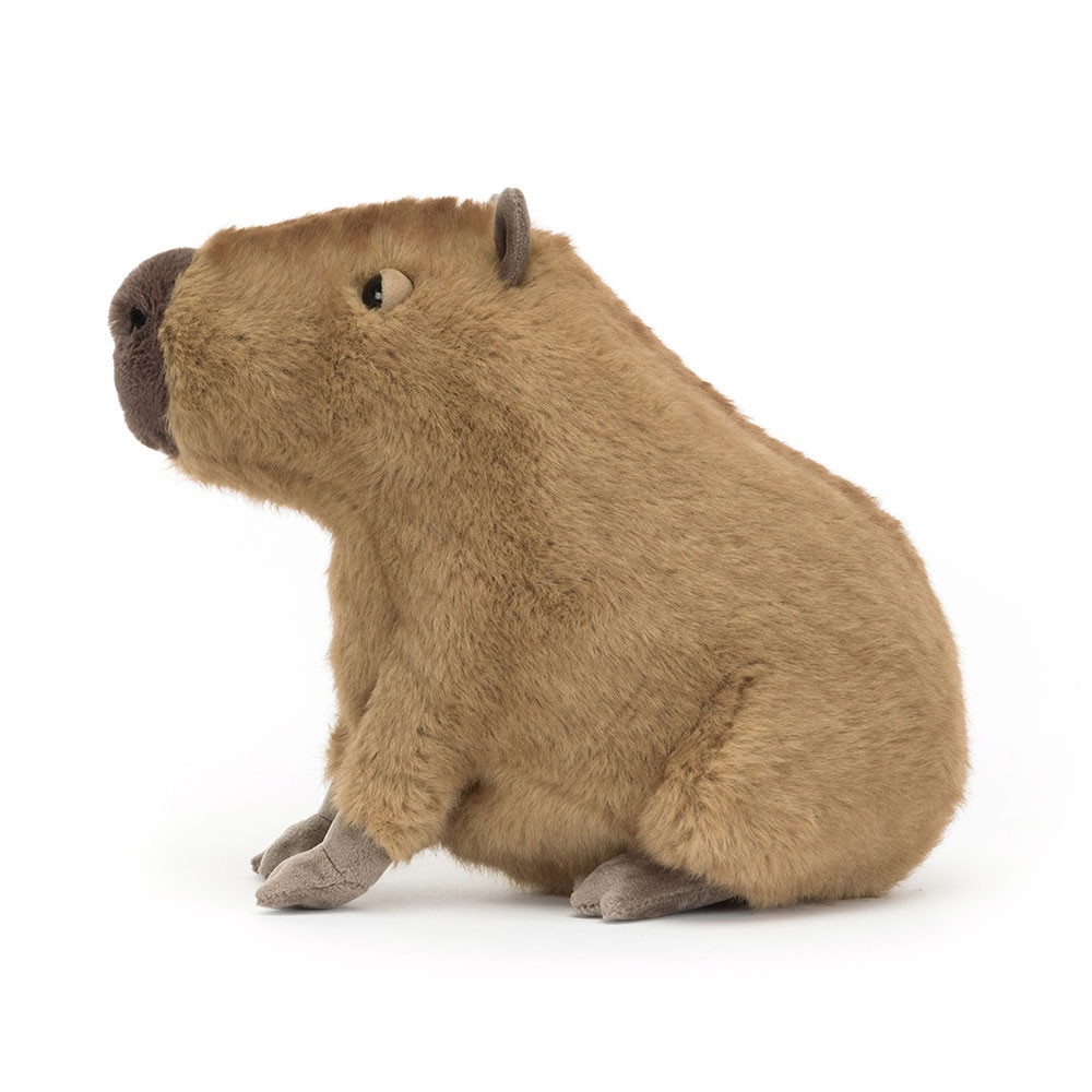 Clyde Capybara 2