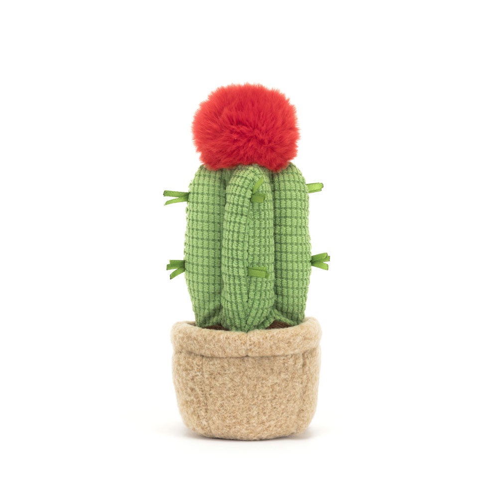 Amuseables Moon Cactus 3