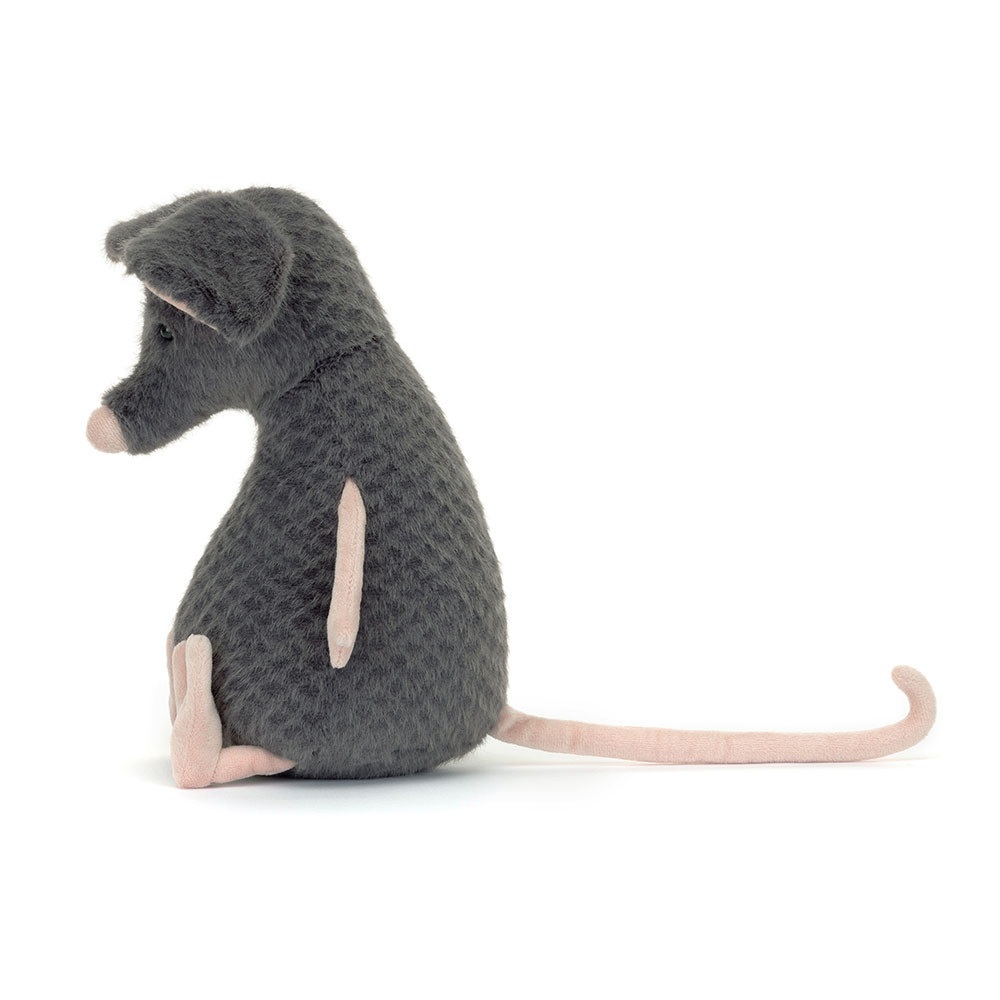 Lachlan Sad Rat 2