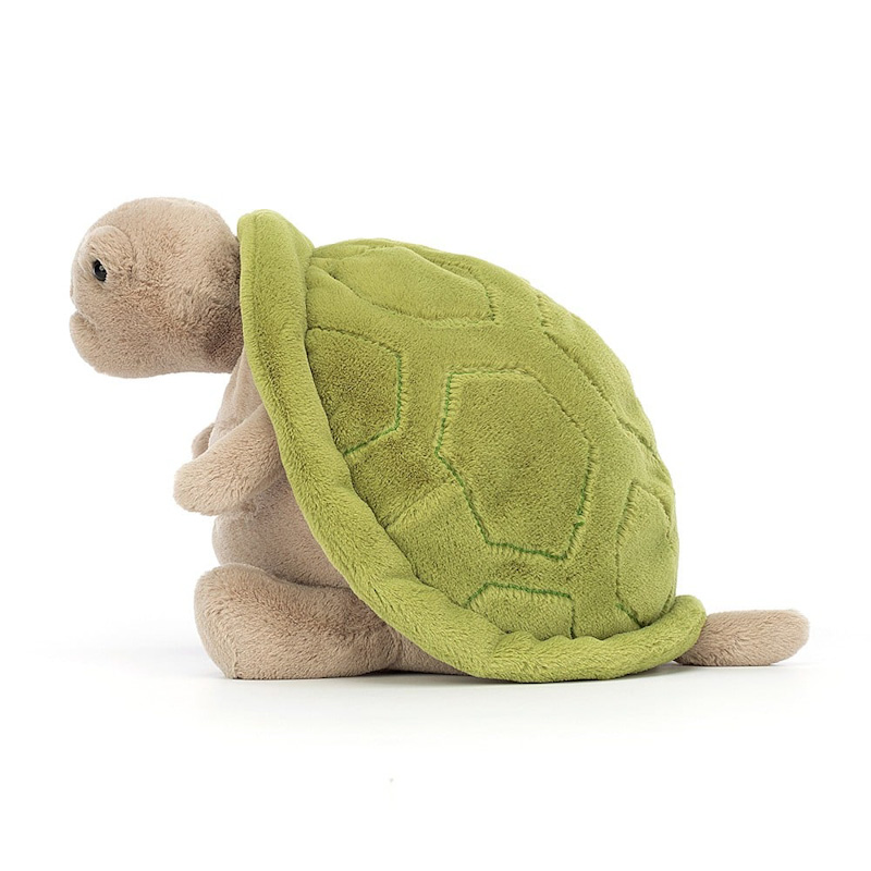 Timmy Turtle 2