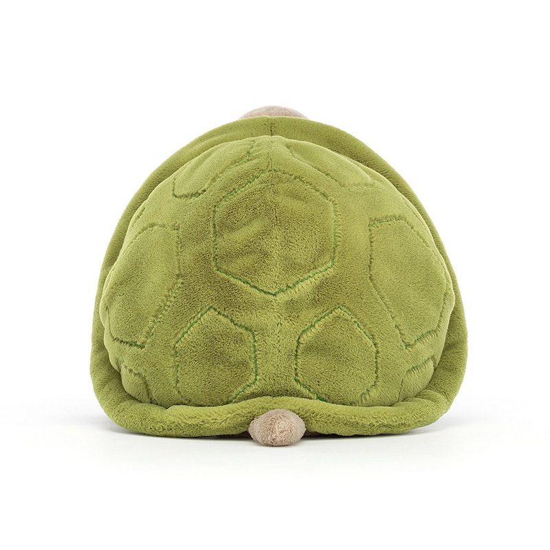 Timmy Turtle 3