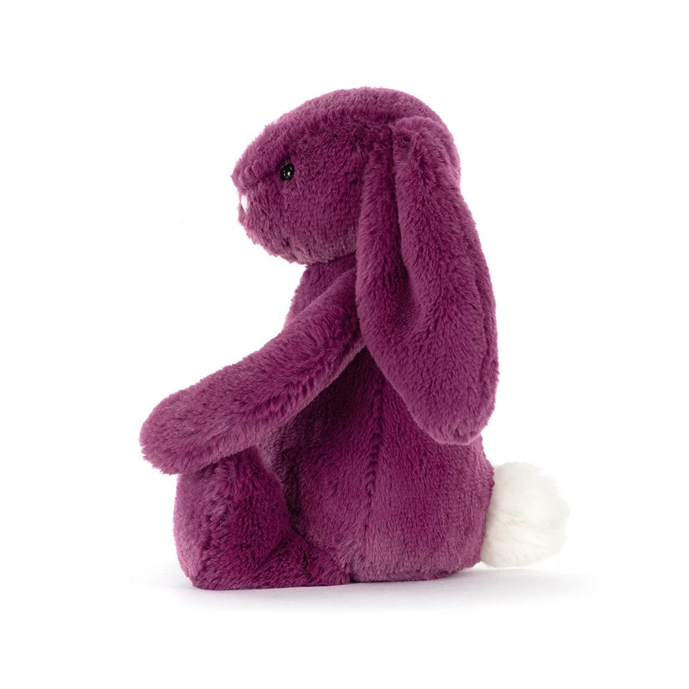 Little Bashful Allium Bunny 2