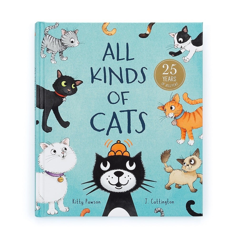 All Kinds Of Cats Book 1