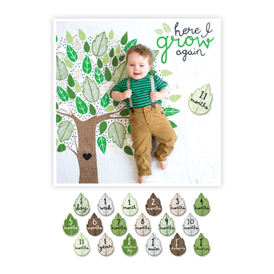 Baby's First Year Deluxe Blanket & Cards Set - Here I Grow Again 1