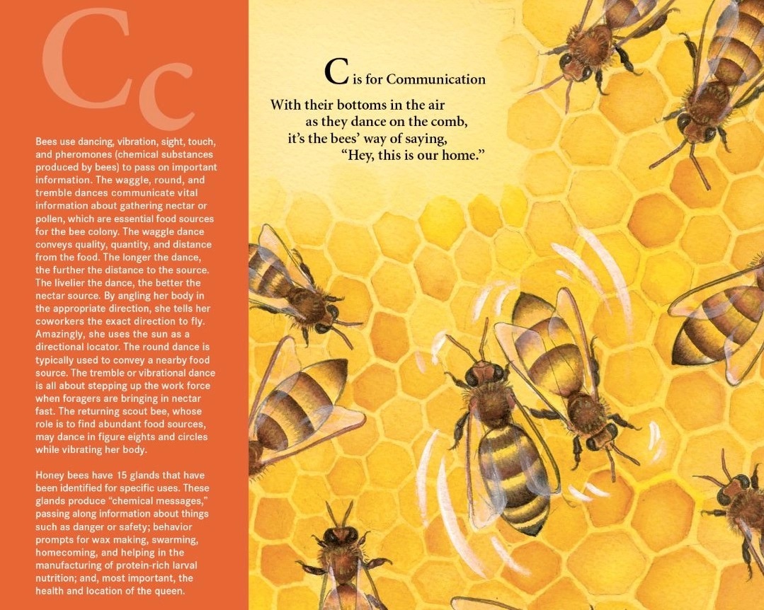 H Is For Honey Bee Picture Book: A Beekeeping Alphabet 2