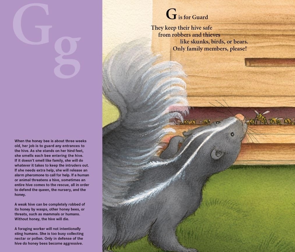 H Is For Honey Bee Picture Book: A Beekeeping Alphabet 3