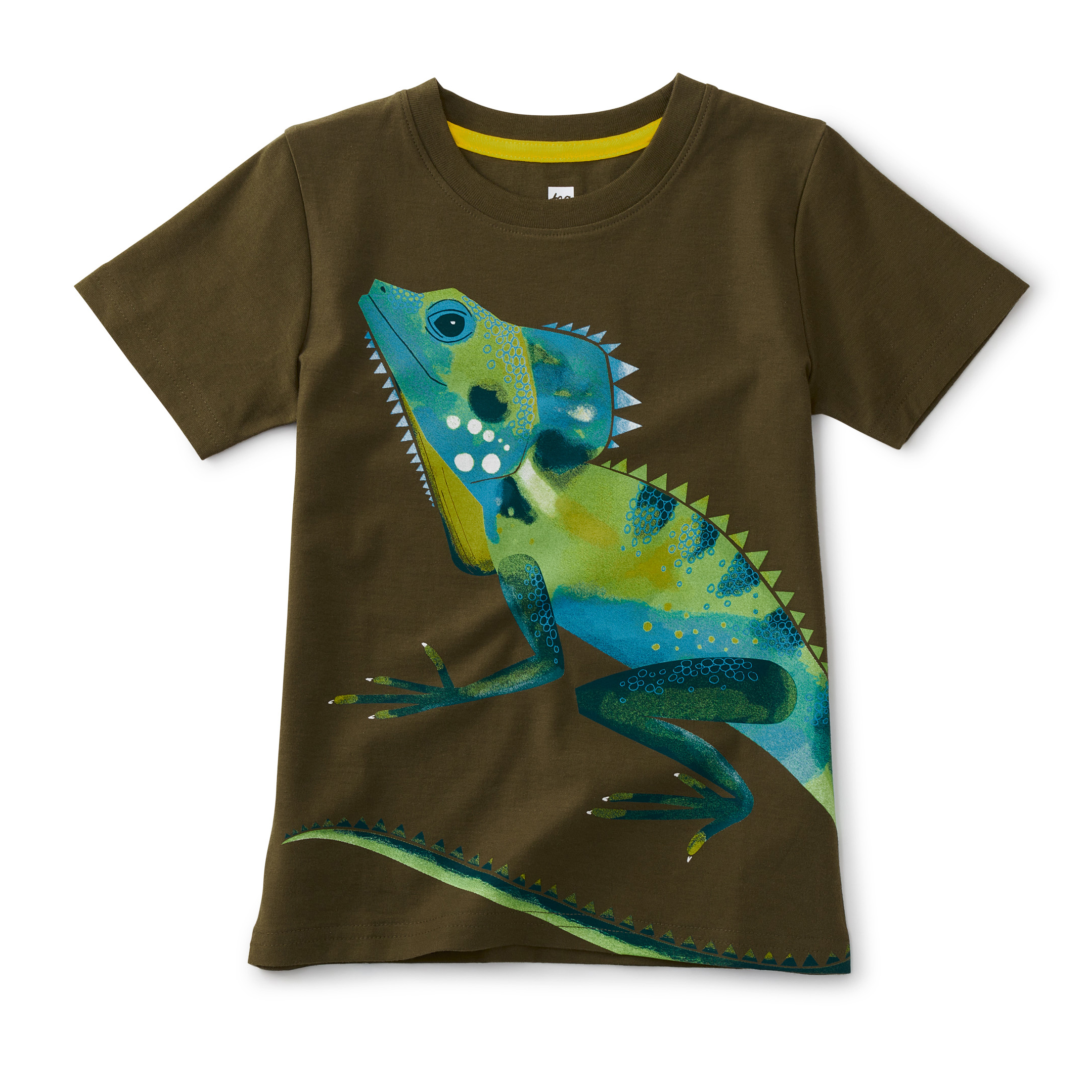 Forest Dragon Graphic Tee 1